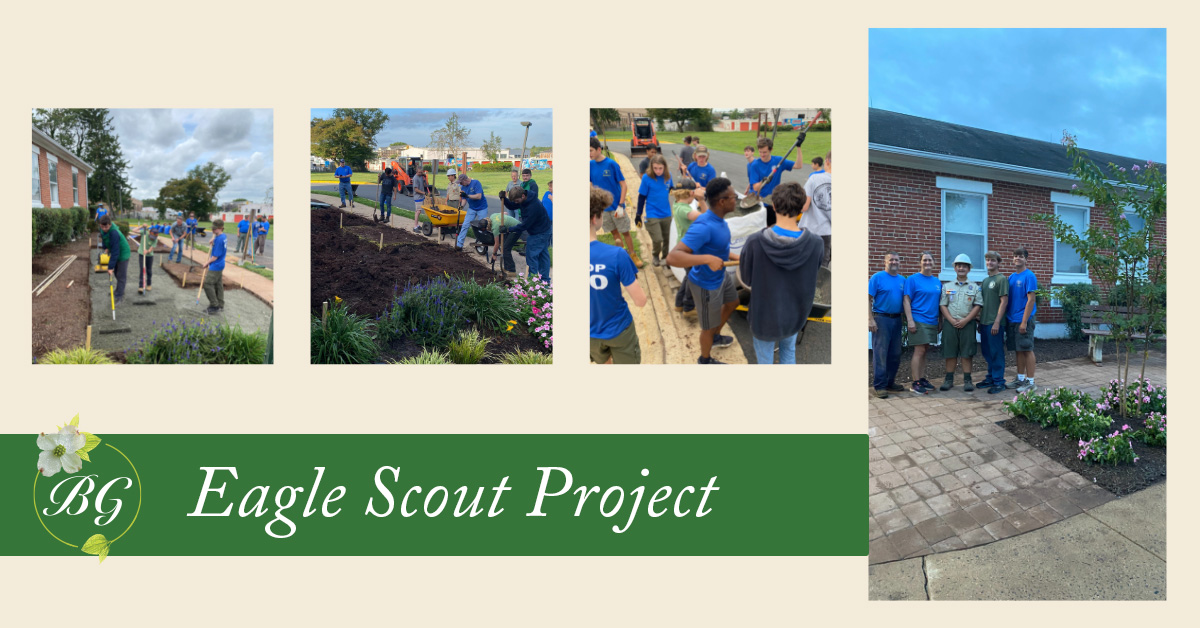 Birmingham Green | Eagle Scout Project Images